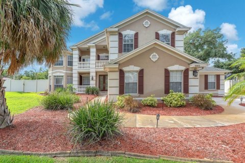 House in Riverview, Florida 4 bedrooms, 332.59 sq.m. № 2230754