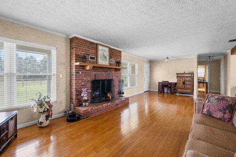 Villa ou maison à vendre à Dade City, Floride: 2 chambres, 176.98 m2 № 2298209 - photo 3