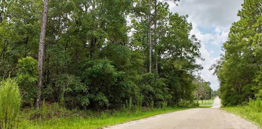 Terreno en Ocala, Florida № 1850265