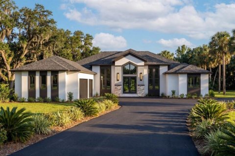 House in Tavares, Florida 4 bedrooms, 378.21 sq.m. № 2196891
