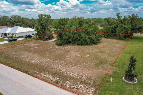 Land in Arcadia, Florida № 1166386 - photo 4