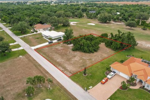 Land in Arcadia, Florida № 1166386 - photo 2