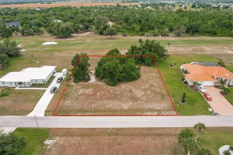 Land in Arcadia, Florida № 1166386 - photo 1