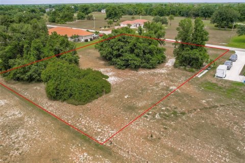 Land in Arcadia, Florida № 1166386 - photo 13