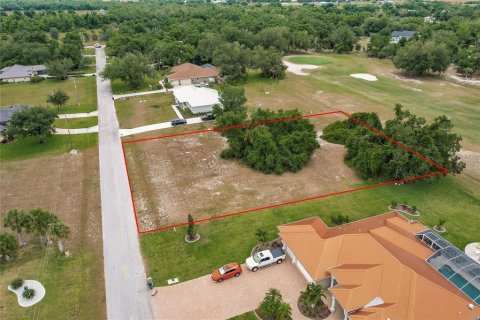 Land in Arcadia, Florida № 1166386 - photo 3