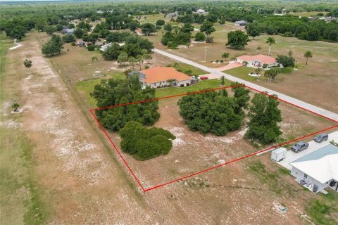 Land in Arcadia, Florida № 1166386 - photo 16