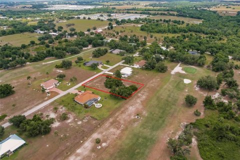 Land in Arcadia, Florida № 1166386 - photo 9