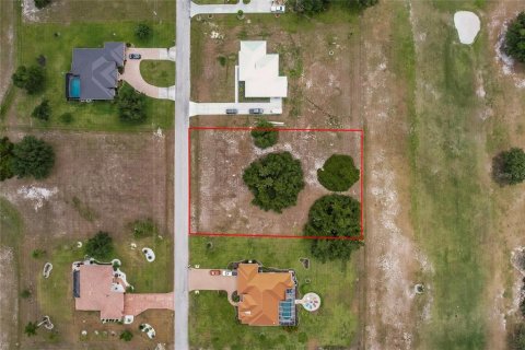 Land in Arcadia, Florida № 1166386 - photo 21