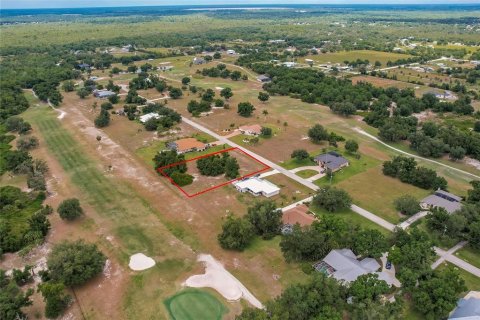 Land in Arcadia, Florida № 1166386 - photo 10