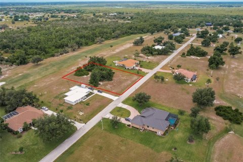 Land in Arcadia, Florida № 1166386 - photo 18