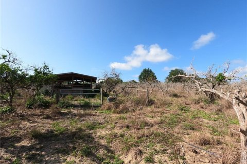 Terrain à vendre à Groveland, Floride № 2101192 - photo 21