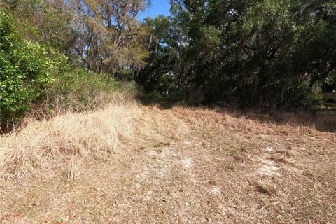 Terrain à vendre à Groveland, Floride № 2101192 - photo 27