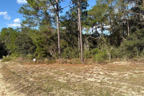 Terrain à vendre à Inverness, Floride № 2224328 - photo 4