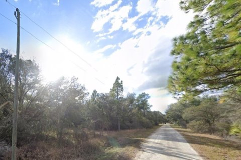 Land in Webster, Florida № 1839078 - photo 3