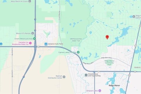 Land in Webster, Florida № 1839078 - photo 12