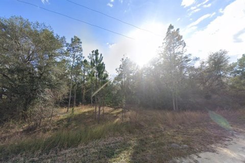 Land in Webster, Florida № 1839078 - photo 2