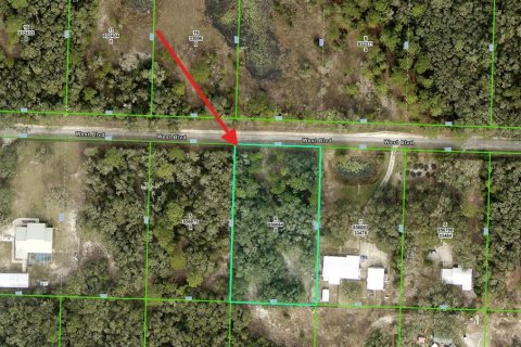 Land in Webster, Florida № 1839078 - photo 6
