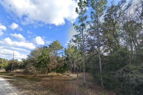 Land in Webster, Florida № 1839078 - photo 1
