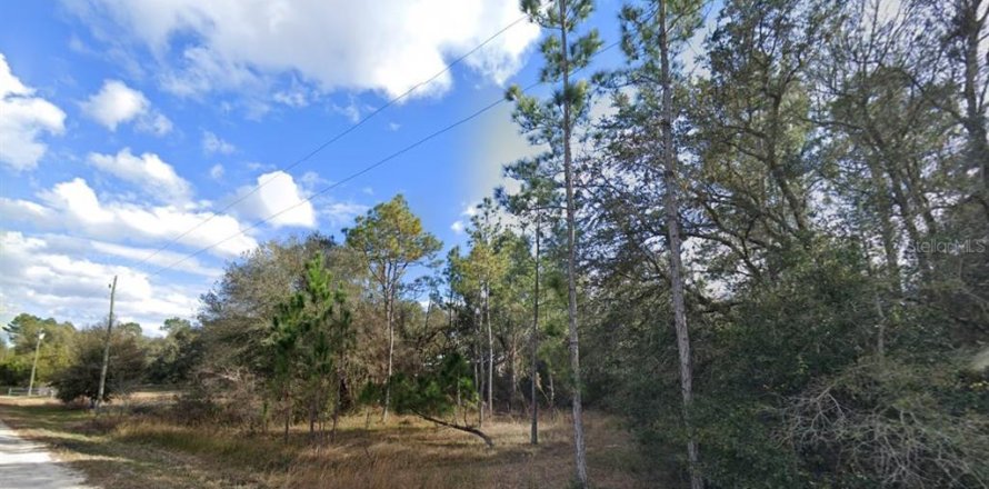 Land in Webster, Florida № 1839078