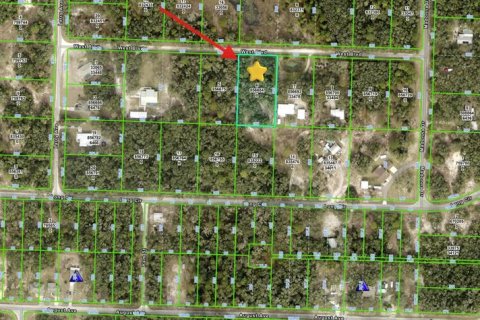 Land in Webster, Florida № 1839078 - photo 7