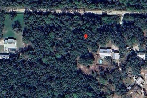 Land in Webster, Florida № 1839078 - photo 10