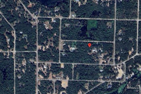 Land in Webster, Florida № 1839078 - photo 9