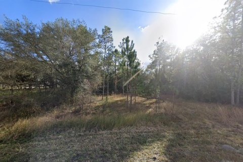 Land in Webster, Florida № 1839078 - photo 8