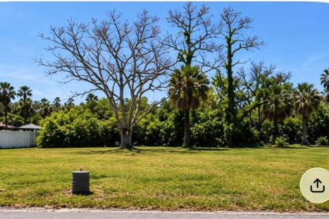 Land in Port Richey, Florida № 2360889