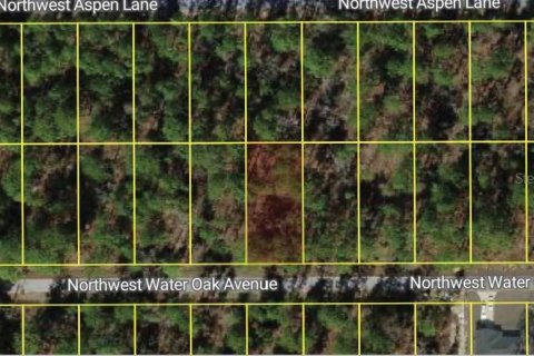 Land in Dunnellon, Florida № 2162830 - photo 2