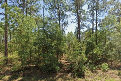 Land in Dunnellon, Florida № 2162830