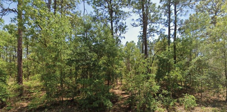 Land in Dunnellon, Florida № 2162830