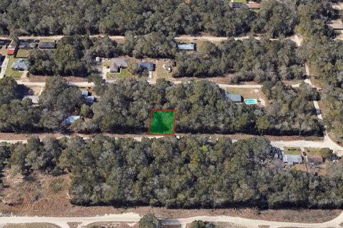 Land in Ocala, Florida № 2163733 - photo 2