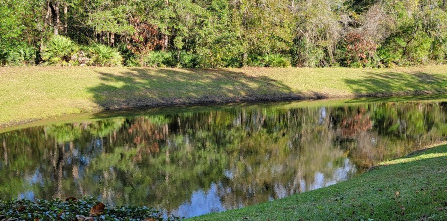 Condo in Jacksonville, Florida, 2 bedrooms № 918039