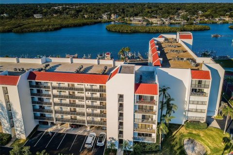 Condo in Indian Shores, Florida, 2 bedrooms  № 2110646 - photo 5