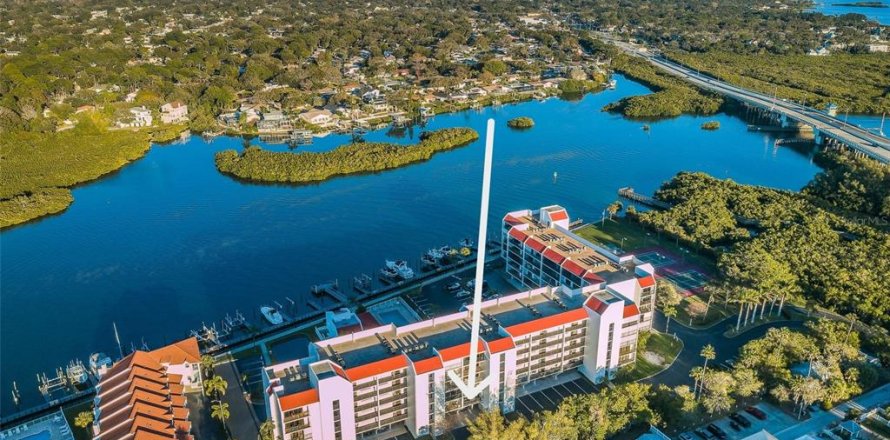Condo in Indian Shores, Florida, 2 bedrooms  № 2110646