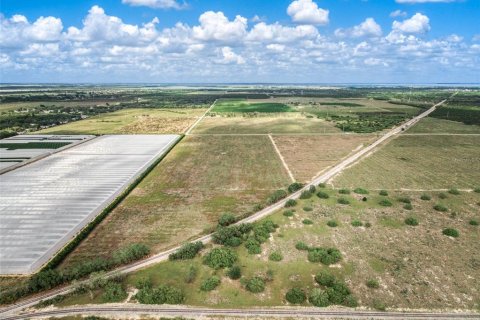 Land in Sebring, Florida № 1688001 - photo 4