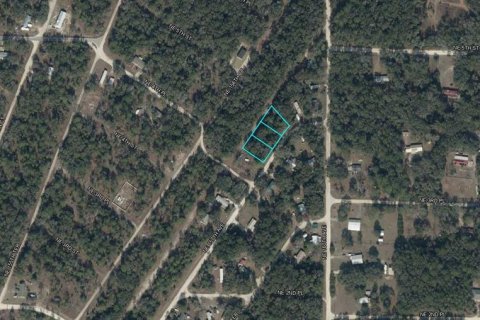 Land in Williston, Florida № 2158970 - photo 2