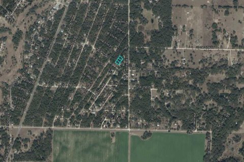 Land in Williston, Florida № 2158970 - photo 3