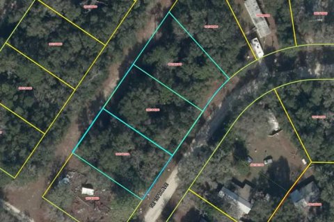 Land in Williston, Florida № 2158970