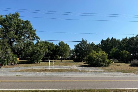 Terreno en alquiler en Odessa, Florida № 1900793 - foto 1