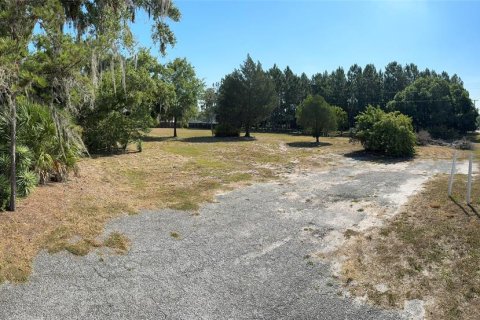 Terreno en alquiler en Odessa, Florida № 1900793 - foto 3