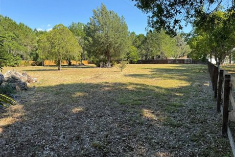 Terreno en alquiler en Odessa, Florida № 1900793 - foto 2