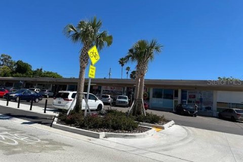 Commercial property in Clearwater, Florida 1337.79 sq.m. № 1109547 - photo 5