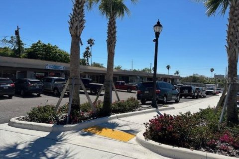 Commercial property in Clearwater, Florida 1337.79 sq.m. № 1109547 - photo 4