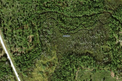 Terrain à vendre à Polk City, Floride № 2160329 - photo 4