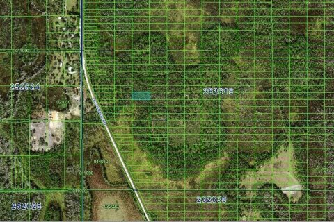 Terrain à vendre à Polk City, Floride № 2160329 - photo 2