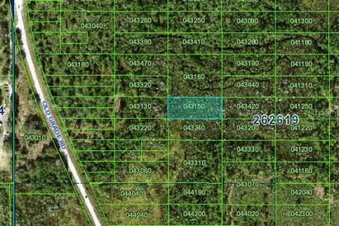 Terrain à Polk City, Floride № 2160329