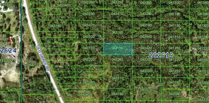 Terrain à Polk City, Floride № 2160329