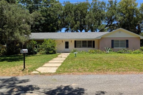 House in Eustis, Florida 3 bedrooms, 164.16 sq.m. № 2234638
