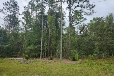 Land in Ocala, Florida № 2212675
